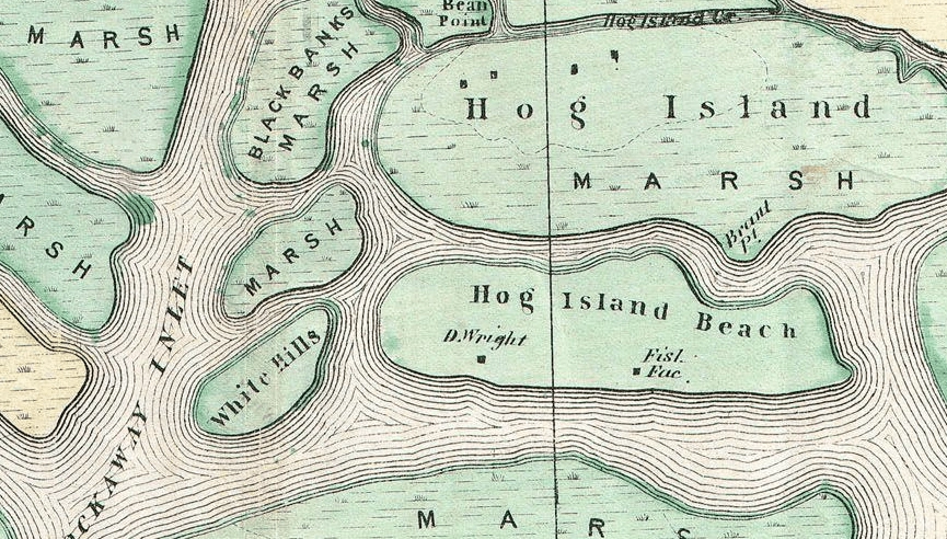 Hog Island: La Isla Desaparecida de Nueva York