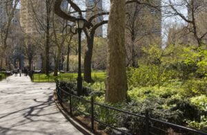 Cómo los jardines comunitarios y los espacios verdes están transformando los barrios en Nueva York
