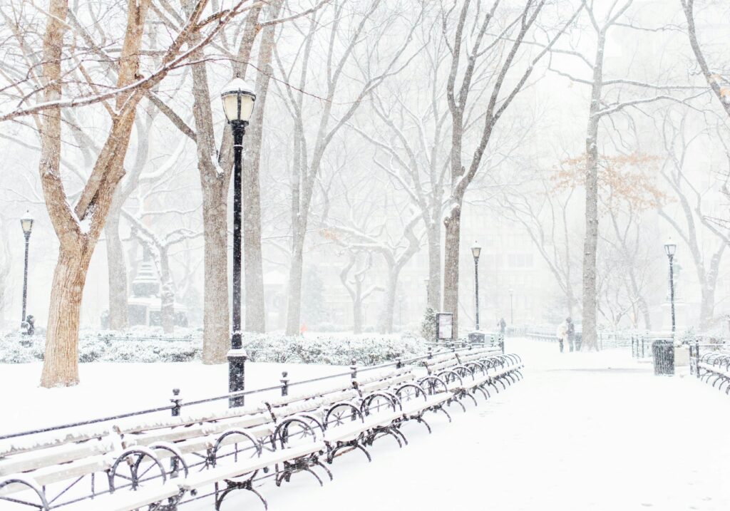 Nieve en Nueva York: Cuándo y Cómo