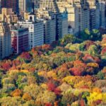 El Jardín Secreto del Central Park