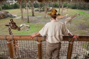 El zoológico de El Bronx