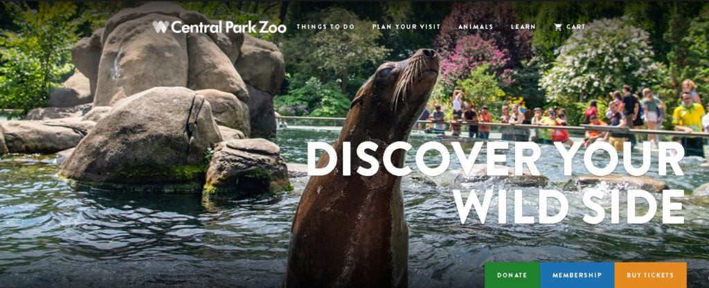 Central Park Zoo: Un Mundo de Maravillas Naturales en el Corazón de la Gran Manzana