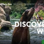 Central Park Zoo: Un Mundo de Maravillas Naturales en el Corazón de la Gran Manzana