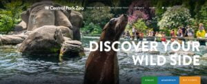 Central Park Zoo: Un Mundo de Maravillas Naturales en el Corazón de la Gran Manzana