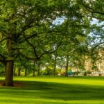 Innovaciones Urbanas y Proyectos de Sostenibilidad en la Ciudad de Nueva York: El Camino Verde Hacia el Futuro