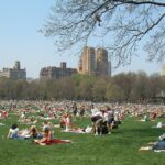 Sheep Meadow en Central Park: Historia, Características y Atractivo Turístico