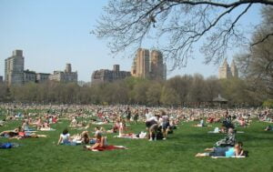 Sheep Meadow en Central Park: Historia, Características y Atractivo Turístico