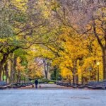 Central Park Mall: Paseo entre Historia y Naturaleza en el Corazón de Manhattan