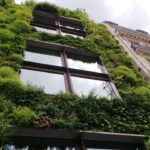 Los techos verdes de Nueva York