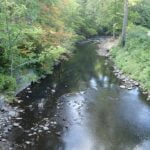 Bronx River