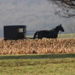 Visitar una comunidad Amish desde Nueva York