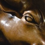 El Toro de Wall Street... el Toro de Nueva York ¡No te Puedes ir sin Tocarle los Testículos!