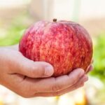 ¿Por qué le llaman a Nueva York, «La Gran Manzana»