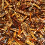 Explorando el Tour Gastronómico de Insectos Comestibles en Nueva York