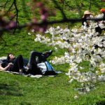 Mi Vida Como Inmigrante en Nueva York: Una Historia de Oportunidades y Diversidad