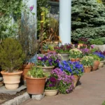 Explorando Wave Hill, el Jardín Público y Centro Cultural de Nueva York