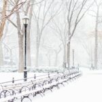 Nieve en Nueva York: Cuándo y Cómo
